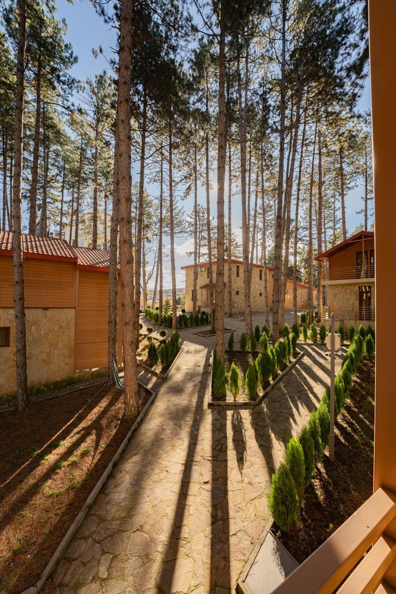 Zuzumbo Resort & Spa Telawi Zewnętrze zdjęcie
