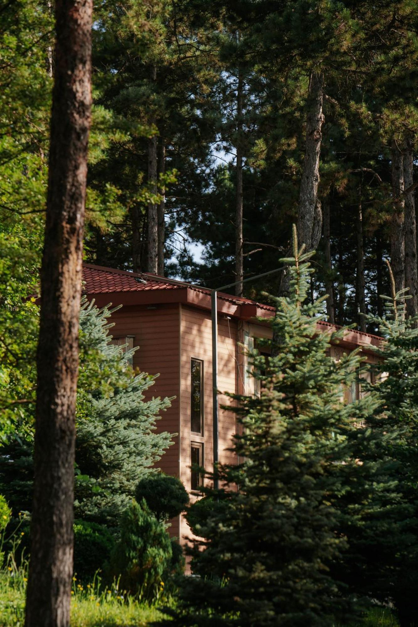 Zuzumbo Resort & Spa Telawi Zewnętrze zdjęcie